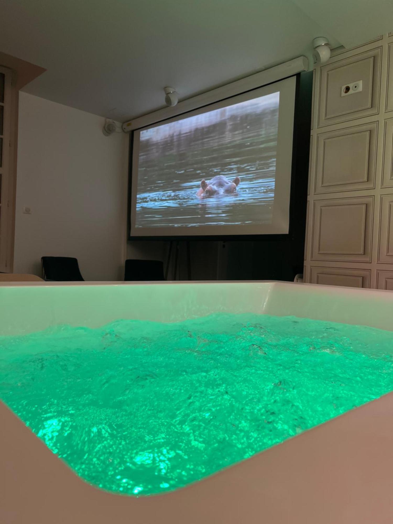 Appartement Avec Jacuzzi Sauna & Home Cinema - Nid D'アンジェ エクステリア 写真